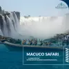 Imagem representativa: Macuco Safari à 10 minutos do Interludium Iguassu Convention Hotel