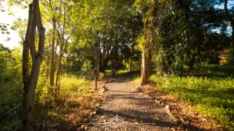 Feriado Tiradentes no Interludium Iguassu | Descanse em Foz do Iguaçu