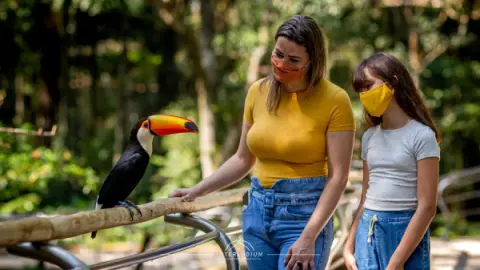 Parque das Aves em Foz do Iguaçu à 24 minutos de carro do Hotel