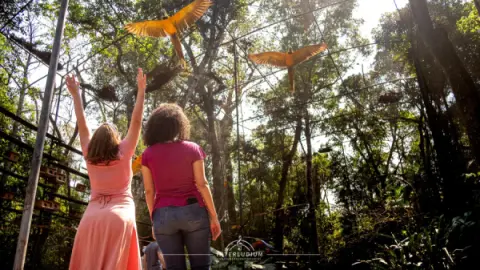 Parque das Aves em Foz do Iguaçu à 24 minutos de carro do Hotel