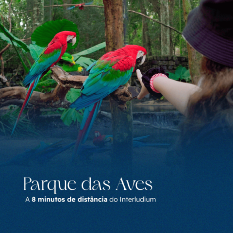 Imagem representativa: Parque Nacional do Iguaçu a 8 minutos do Interludium Iguassu Convention Hotel