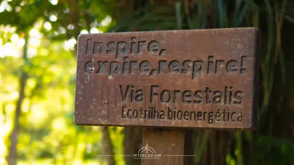 Trilhas em meio à Mata Atlântica no Interludium Iguassu Conventio