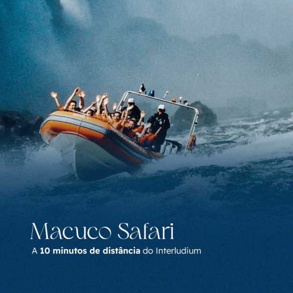 Imagem representativa: Macuco Safari a 10 minutos do Hotel