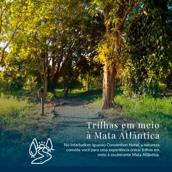 Imagem representativa: Eco trilhas